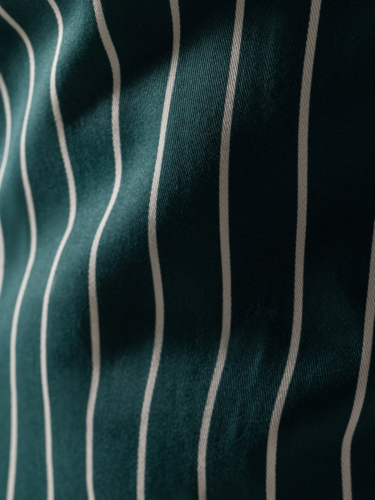 Camden Foreststripe
