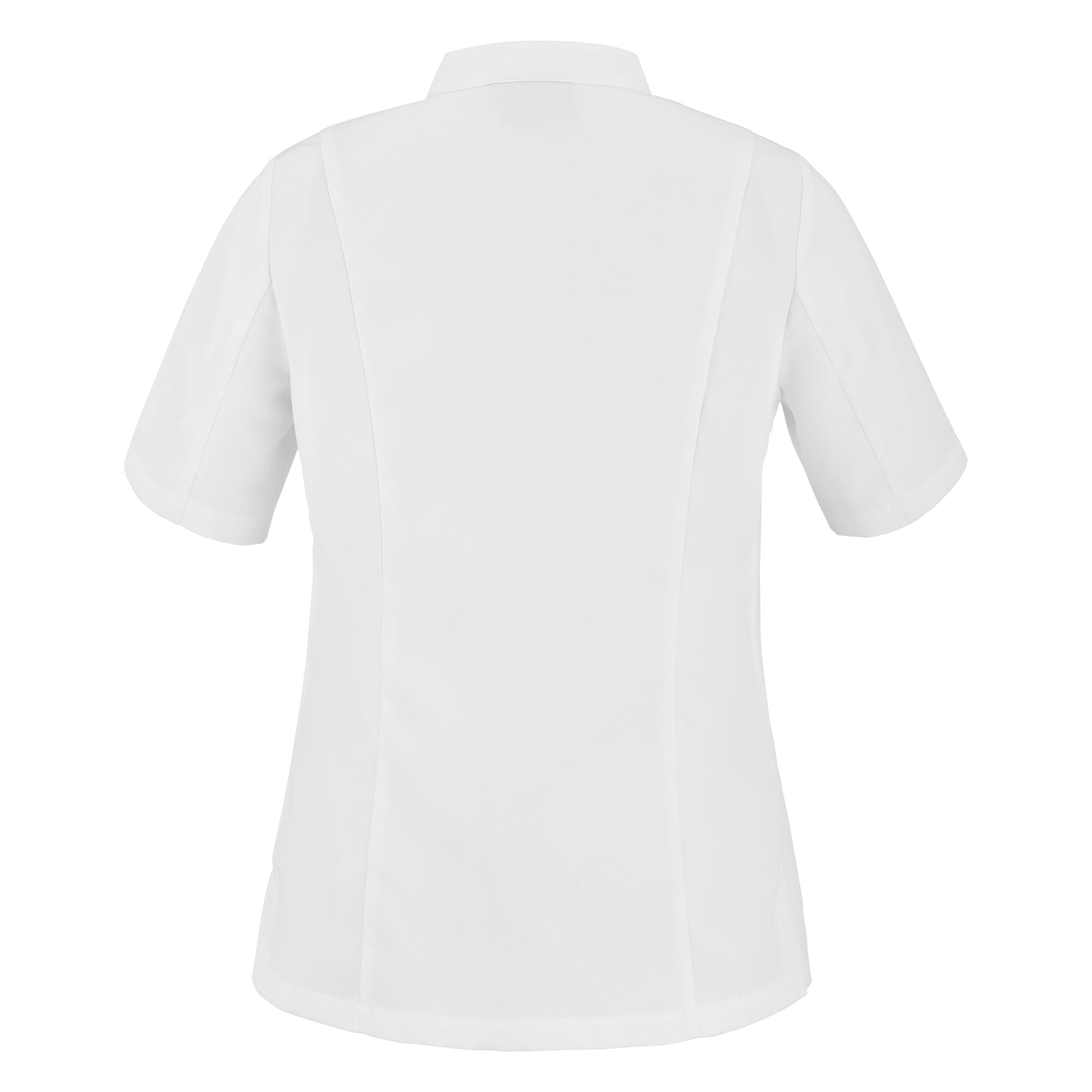 Back view of the CRISTAL short sleeve chef jacket in white
